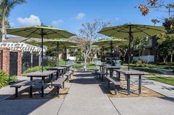 Bbq/picnic area